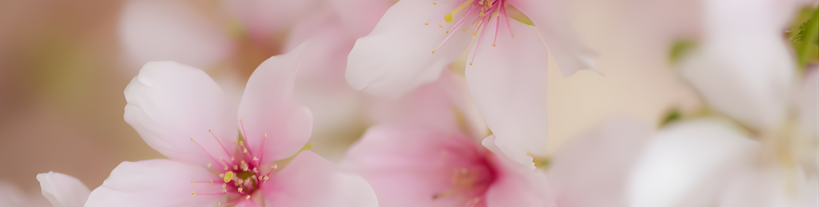 Banner   Về HAPI Aircare